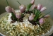 Салат «Цветы весны»